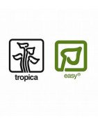 Christmas Moss Tropica 1-2 Grow EASY at Shrimp Cove UK buy now. Freshwater Shrimp Caridina Shrimp snails