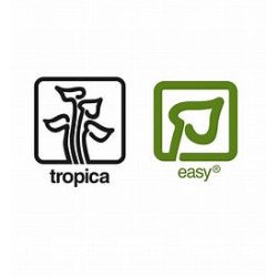 Christmas Moss Tropica 1-2 Grow EASY at Shrimp Cove UK buy now. Freshwater Shrimp Caridina Shrimp snails