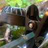 Clip-On Fan Mini + LED Shrimp Cove Keeping Your Shrimp Cool This Summer