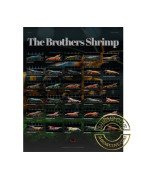 TB Shrimp Poster now available, Best Gift. Buy Now at Shrimp Cove UK