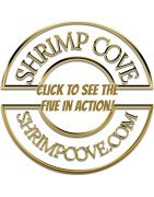 5x Red Nanashi Caridina Shrimp Aquarium Beauty | Shrimp Cove | BEST IN UK