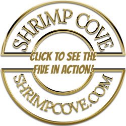 5x Red Nanashi Caridina Shrimp Aquarium Beauty | Shrimp Cove | BEST IN UK