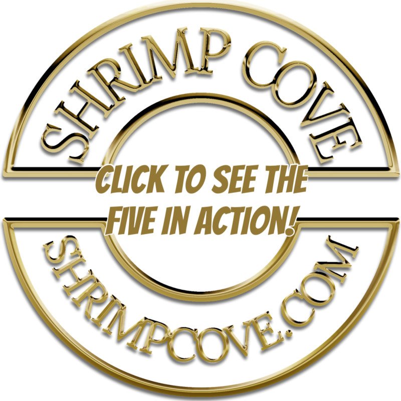 5x Red Nanashi Caridina Shrimp Aquarium Beauty | Shrimp Cove | BEST IN UK