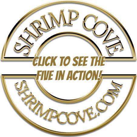 5x Red Nanashi Caridina Shrimp Aquarium Beauty | Shrimp Cove | BEST IN UK