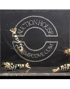 Black Fancy Caridina shrimp Auction at Shrimp Cove UK