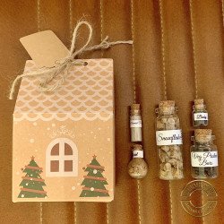 Festive Mini Apothecary Shrimp Care Gift Set- Kraft Gifting box