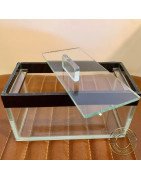MINI Glass Moss Ramshorn Terrarium Tank -with Lid
