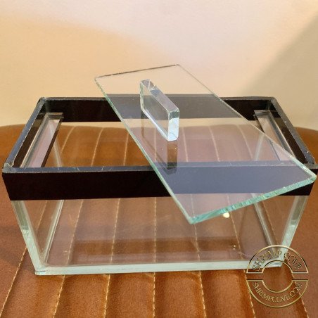 MINI Glass Moss Ramshorn Terrarium Tank -with Lid