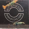 RARE Black Snowfall  Caridina shrimp Auction Shrimp Cove