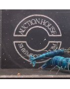 TB Shrimp Extreme Blue Bolt Trio Caridina shrimp Auction | Shrimp Cove UK