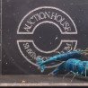 TB Shrimp Extreme Blue Bolt Trio Caridina shrimp Auction | Shrimp Cove UK