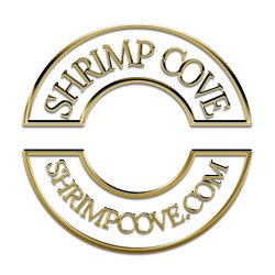 Ramshorn Snail Gold Mix Sidekicks at Shrimp Cove