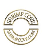 Yellow Golden Back Neocaridina Shrimp Buy Now at Shrimp Cove