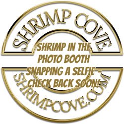 Yellow Golden Back Neocaridina Shrimp Buy Now at Shrimp Cove