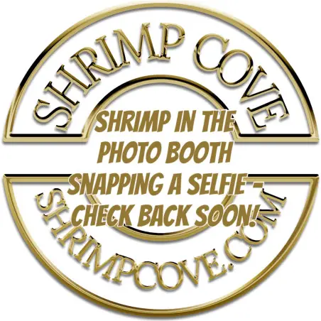 Shrimpfy OE Blue & Green  Neocaridina Shrimp Buy Now at Shrimp Cove