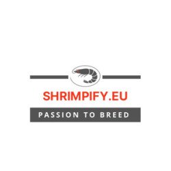 Shrimpfy OE Blue & Green  Neocaridina Shrimp Buy Now at Shrimp Cove