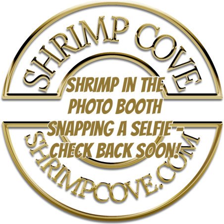 Shrimpfy OE Blue & Green  Neocaridina Shrimp Buy Now at Shrimp Cove