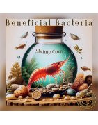 Beneficial Bacteria 20G , Create a healthier, more sustainable aquarium At Shrimp Cove UK Buy Now