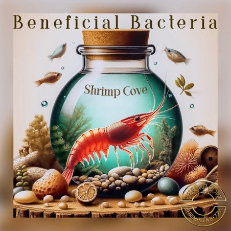 Beneficial Bacteria 20G , Create a healthier, more sustainable aquarium At Shrimp Cove UK Buy Now