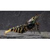 MINT TIGER  TB Shrimp Caridina . Aquarium Shrimp Cove place to go for freshwater shrimp