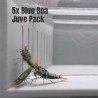 5x Shrimp MIND BLOWING BARGAINS Caridina Shrimp Aquarium Beauty | Shrimp Cove