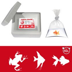 40 Hour Long-Lasting Transport Heat Pack for Animals, Fish, Plants, Insects & Reptiles Shrimp Cove