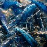 Blue Dream Shrimp – Vibrant Neocaridina | Hardy & Peaceful Shrimp