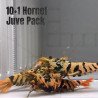 10x HORNET CARIDINA SHRIMP A MIND BLOWING BARGAIN | Shrimp Cove