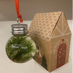 Christmas Hanging Moss Bauble- Kraft Gifting box at Shrimp Cove Buy Now1
