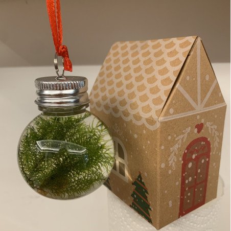 Christmas Hanging Moss Bauble- Kraft Gifting box at Shrimp Cove Buy Now1