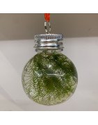 Christmas Hanging Moss Bauble- Kraft Gifting box at Shrimp Cove Buy Now1