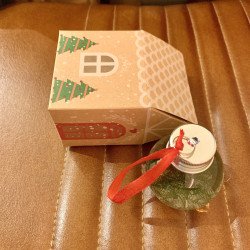 Christmas Hanging Moss Bauble- Kraft Gifting box at Shrimp Cove Buy Now1