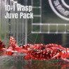 10X WASP Juvenile TB Genetics Caridina Shrimp Aquarium | Shrimp Cove | BEST IN UK