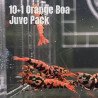 10x Shrimp MIND BLOWING BARGAINS Caridina Shrimp Aquarium Beauty | Shrimp Cove