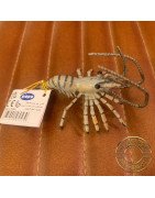 Papo Aquatic Shrimp 3" at Shrimp Cove UK Buy Now! Aquatic Aquarium Neocaridina Shrimp Essentials to Gifts Available