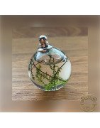 Mini Moss Ball Hanging ornament / Keyring Buy Now at Shrimp Cove along with Neocaridina Shrimp Premium Caridina Shrimp Snails