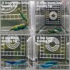 DEMON Shrimp A MIND BLOWING BARGAIN Neocaridina Shrimp Aquarium Beauty | Shrimp Cove | BEST IN UK