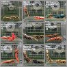 TB Shrimp A MIND BLOWING BARGAIN Caridina Shrimp Aquarium Beauty | Shrimp Cove | BEST IN UK