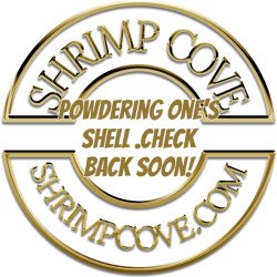 Red Onyx Shrimp