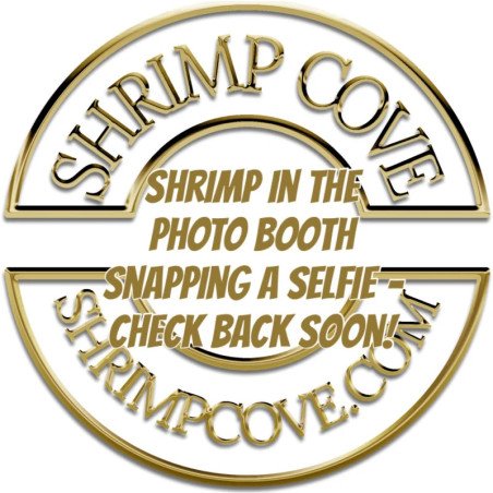 Blue PEARL  Neocaridina Shrimp | Elite Colour Grade | Shrimp Cove®