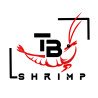 The Brothers TB Shrimp Genetics Blue Snowflake Premium Caridina Shrimp UK buy now at Shrimp Cove, next day delivery