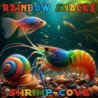 Rainbow Snacks Shrimp Snail Food Buy Now at Shrimp Cove in the UK