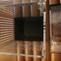 Shrimp Cove showcase box. Small and medium sizes perfect for Caridina or Neocaridina Shrimp. Buy at Shrimp Cove UK