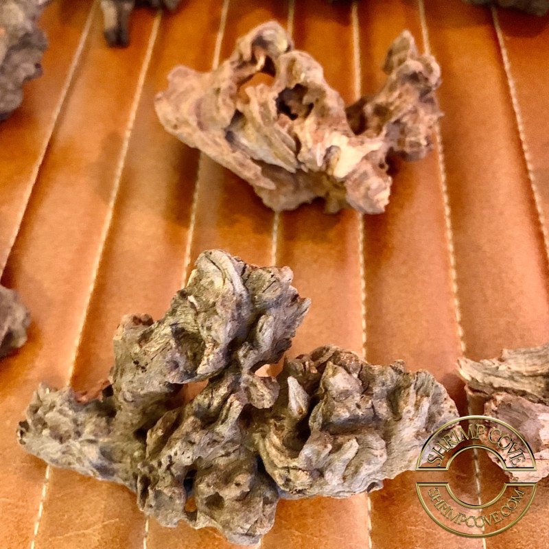 Mini Driftwood for Nano Aquariums Natural Habitat & Biofilm for Shrimp at Shrimp Cove
