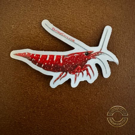 Shrimp Die-Cut Sticker Shrimp Cove Sticker Buy Now at Shrimp Cove UK