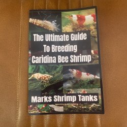 The ultimate breeding guide for Caridina shrimp by Marks Shrimp Tank Buy Now at Shrimp Cove UK