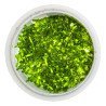Weeping Moss  Tropica 1-2 Grow EASY at Shrimp Cove UK buy now. Freshwater Shrimp Caridina Shrimp snails