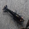 Orange Eye Black Devil Caridina shrimp at Shrimp Cove UK